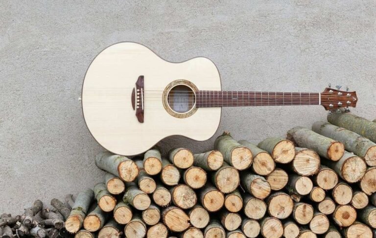 acoustic guitar tonewoods