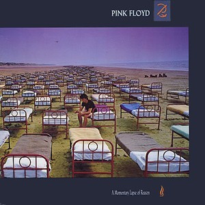 A Momentary Lapse of Reason quiz
